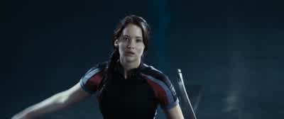 Thank you for your consideration - The Hunger Games