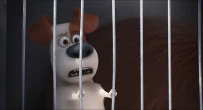 Thanks a lot, Duke. - The Secret Life of Pets