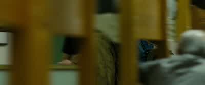 Thanks, but I'm not gonna need that bed after all. - Into the Wild