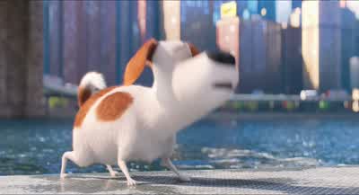 Thanks, Duke. - The Secret Life of Pets