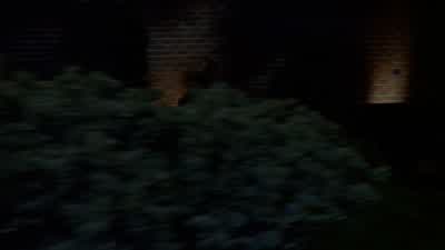Thanks for the relocate. - Buffy the Vampire Slayer