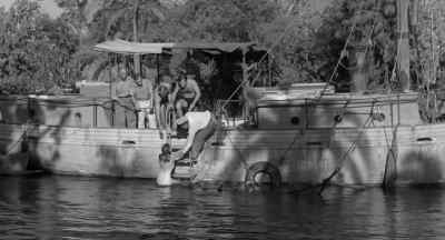 Thanks, Lucas. - Creature from the Black Lagoon
