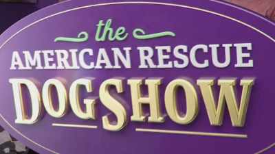 Thanks, Monica.
Well, we've got another category - 2022 American Rescue Dog Show