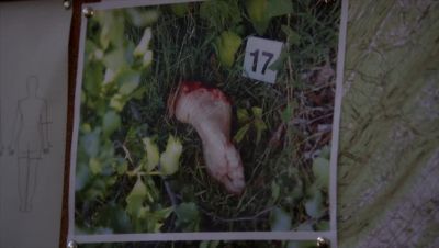 Thanks. - Criminal Minds