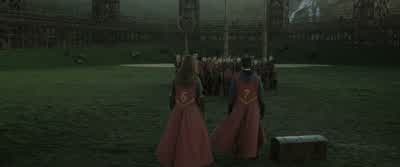 Thanks. - Harry Potter and the Half Blood Prince