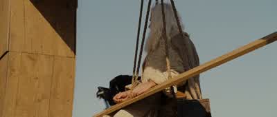 Thanks. - Evan Almighty