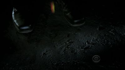 Thanks. - CSI: Crime Scene Investigation