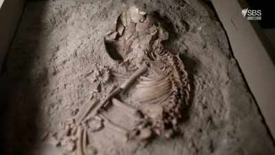Thanks to the excellent
preservation here, - Raiders of the Lost Past with Janina Ramirez