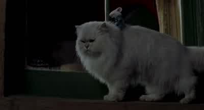 -Thanks for the ride. - Stuart Little