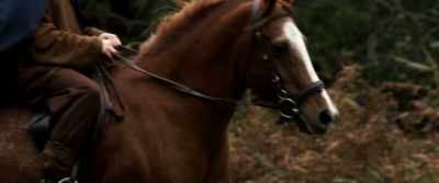 Thanks to the spirits for
preserving us once again. - Boudica: Rise of the Warrior Queen
