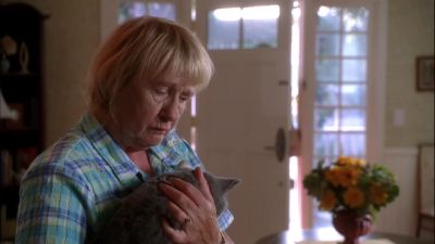 Thanks for tonight. - Desperate Housewives