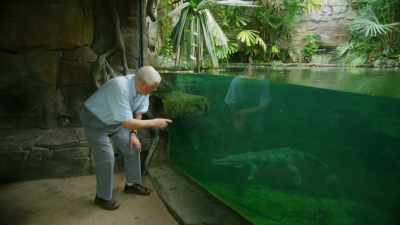 That is a gharial crocodile - Attenborough and the Sea Dragon