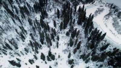 That was a good
little side track, - Life Below Zero: First Alaskans