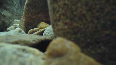 that also travels through water, - Super/Natural
