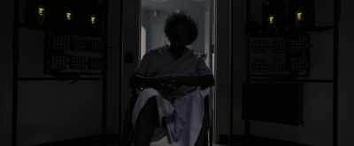 That they are what someone
somewhere saw or felt. - Glass