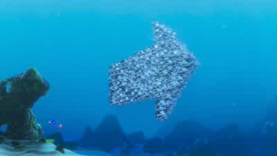 That baby's going to float you right past Sydney. - Finding Nemo