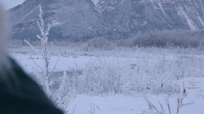 That bear circled around and is coming back. - Life Below Zero: Next Generation