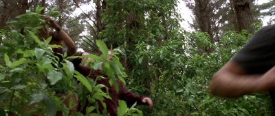 That bear loves you Dan o - Without a Paddle