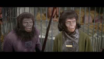 That Bright Eyes is remarkable. - Planet of the Apes