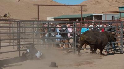 That bull didn't like fucking magic - Jackass Forever