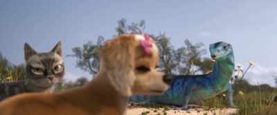 That bus will take
you to the 1-5 trail. - Gracie & Pedro: Pets to the Rescue