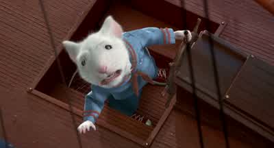 That can't be good. - Stuart Little