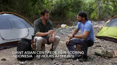 - That centipede bite was
the closest I've ever come - Kings of Pain