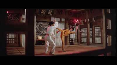 'That characteristic could be obtrusive, - The Final Game of Death