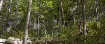 That cliff is not really in place. - Is Genesis History?