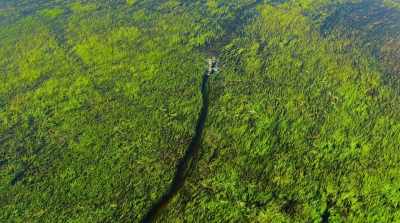 that connect rivers to pools
and pools to floodplains… - Surviving Paradise: A Family Tale