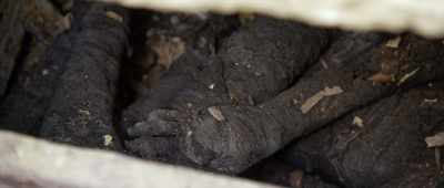 That conviction in the power
of mummification to transcend death… - Secrets of the Saqqara Tomb