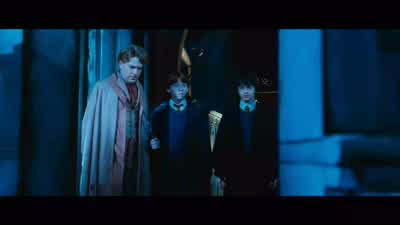 That could also really, really hurt you and really crush you. - Harry Potter and the Chamber of Secrets