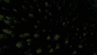 That could be a bear print,
a double step bear print. - Expedition Bigfoot