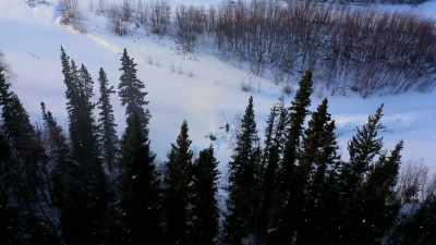 That could be seen
from miles away. - Life Below Zero: Next Generation