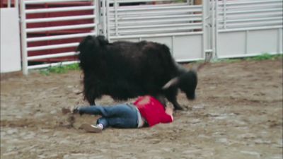 That couldn't have gone any better - Jackass Number Two