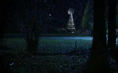 That dead tree must be - Aurora Teagarden Mysteries: Haunted By Murder