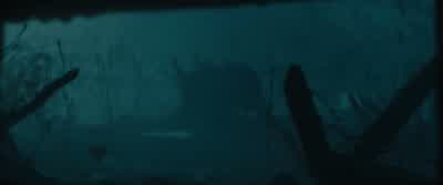 That definitely isn’t a cow. - War Horse