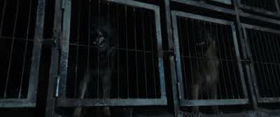 That was delicious! - Venom: The Last Dance