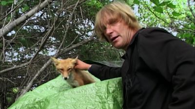 That has developed between this very wild animal and this very - Grizzly Man