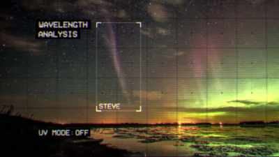 THAT DIDN'T MEAN I KNEW WHAT IT WAS, - Strange Evidence