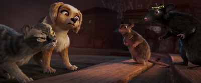That doesn't answer
what you want from us, - Gracie & Pedro: Pets to the Rescue