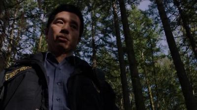 That doesn't look like chlorophyll. - Grimm