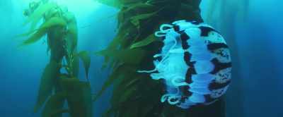 That enables shellfish
and other creatures to thrive. - 2040