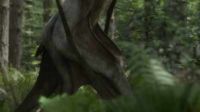 That evidence comes
from 66-million-year-old footprints. - Prehistoric Planet