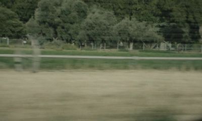 That field of flowers - Lost Transmissions