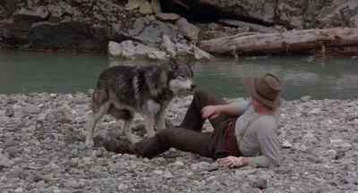 That fool. - White Fang