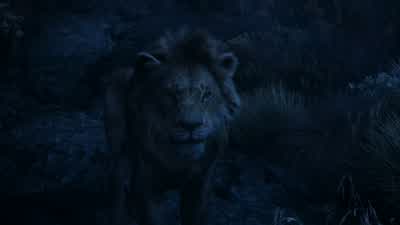 As king I was most proud of one thingHaving you as my sonThat was a long time agoNo Simba That is forever - The Lion King
