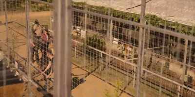 That we get rid of our animals - Joe vs Carole