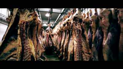 That gives you about, somewhere 
around four cows per minute - What the Health