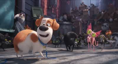 That guy, huh? - The Secret Life of Pets